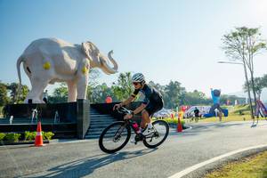 BIB: 
                            <button type="button" onclick="openModal(26183015)" class="btn btn-primary btn-sm float-right btn-popup" data-toggle="modal" data-target=".modal-high-quality">
                        <i class="fas fa-shopping-cart"></i> Add to Cart
                    </button>
                                            <button type="button" onclick="isThisMe(26183015, true)" class="btn btn-success btn-sm float-right btn-popup btn-isme hidden" data-toggle="tooltip" data-placement="bottom" title="นี่คือรูปของคุณใช่ไหม คลิกที่นี่เพื่อเอาเข้าอัลบั้ม">
                        <i class="fas fa-plus"></i> Add to album
                    </button>
                    <button type="button" onclick="isThisMe(26183015, false)" class="btn btn-warning btn-sm float-right btn-popup btn-isnotme hidden">
                        <i class="fas fa-ban"></i> Remove from album
                    </button>